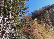 PIZZO BADILE (2044 m) ad anello colorato d’autunno da Piazzatorre-28ott24- FOTOGALLERY